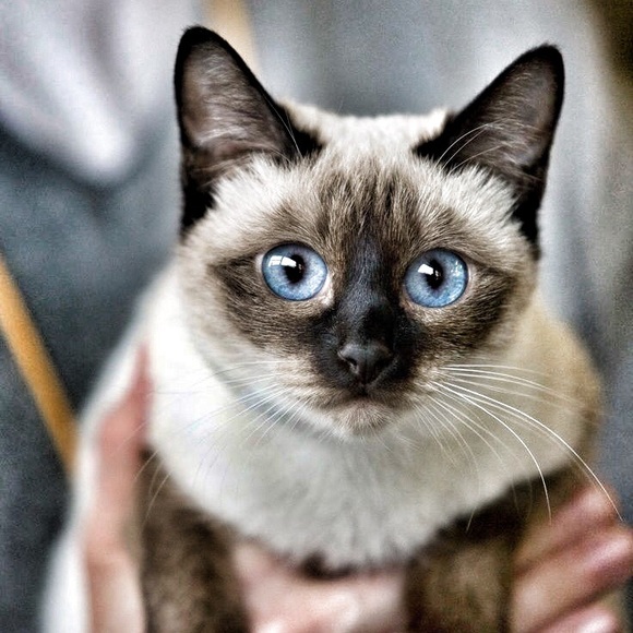 Meet Jill... - Picture 1 of 5